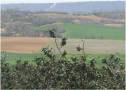Valdescapa de Cea